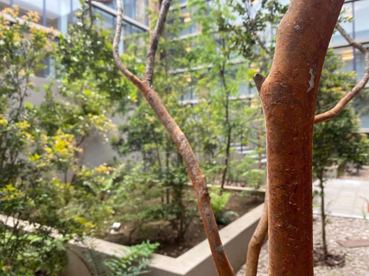 Apartamento Hom I Amplio Depto Con Piscina Y Estacionamiento Privado 1002